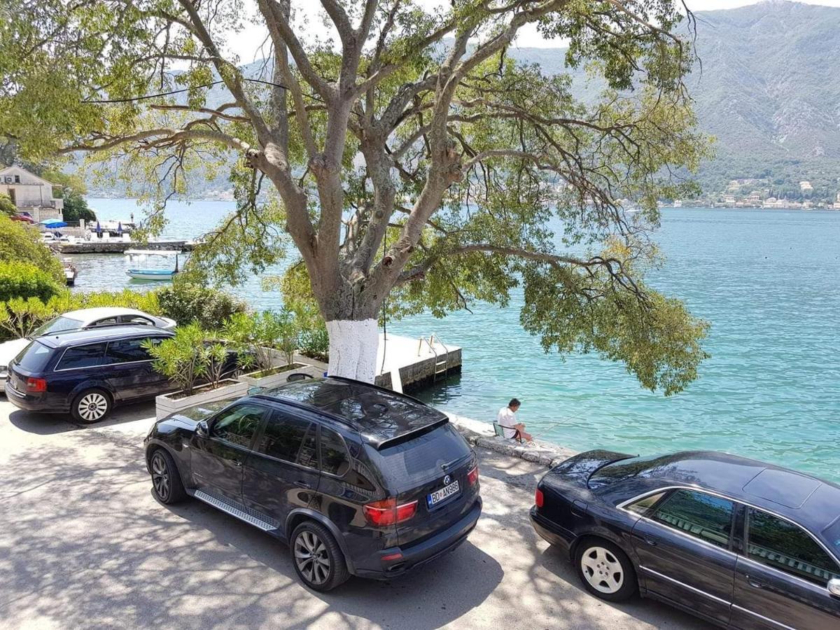 קוטור Montenegro Apartments - Private Beach מראה חיצוני תמונה